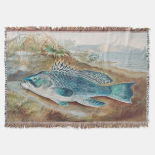 Havsabborre av S.A. Kilbourne, Antik fisk Filt