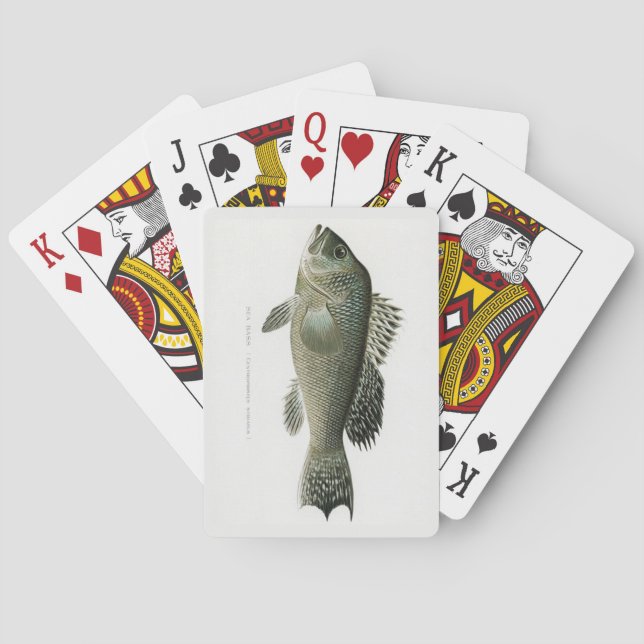 Havsabborre Fisk Lekkort Casinokort (Baksidan)