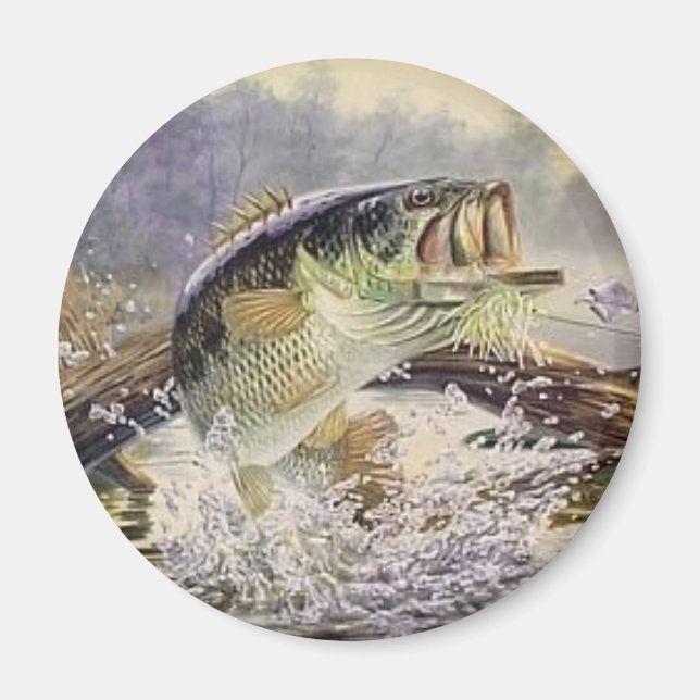 havsabborre magnet (Framsidan)