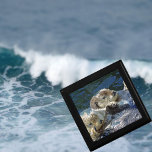 Havsabborre Smyckeskrin<br><div class="desc">Foto av havskräfta från New Forest Bilder</div>