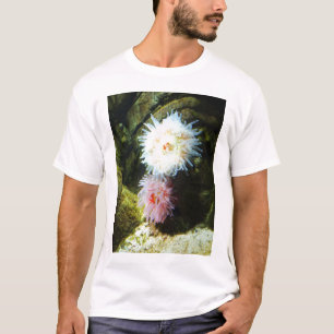 Havsabenemoner Tee Shirt