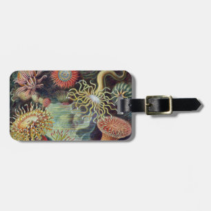 Havsanemon Vetenskaplig Natur Ocean Bagagebricka