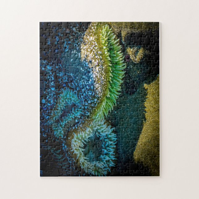 Havsanemoner i Cox Bay, Tofino, BC (Kanada) Pussel (Vertikal)