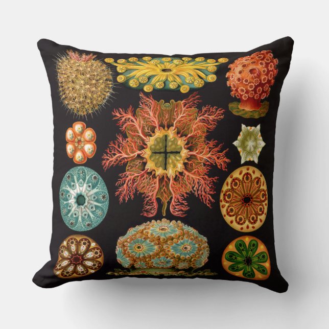 Havsbläckfisk, Dekorativ kudde (Framsida)