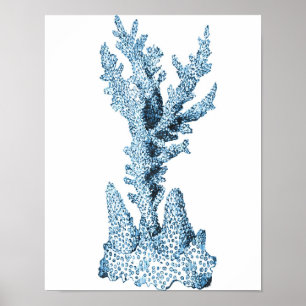 Havsblått i korallkusten poster