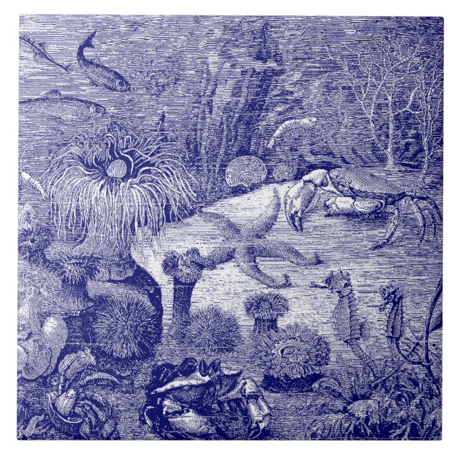 Havsblått och vitt kakelplatta (Framsidan)