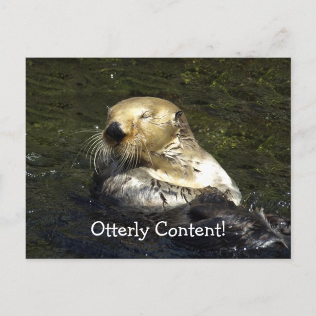 Havsbottenkort Vykort (Framsida)