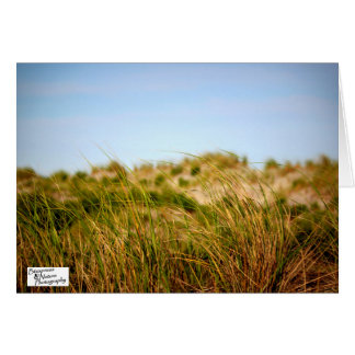 Havsbris (5,0) hälsningskort