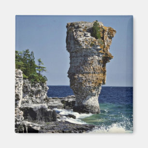Havsbunt, blomkrukaö, Bruce peninsula, Onta Magnet