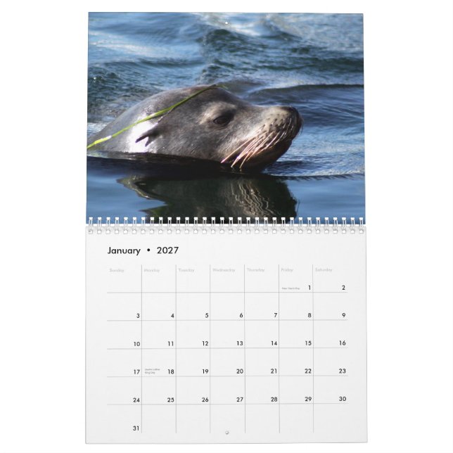 Havsdjur 2015 kalender (Jan 2027)