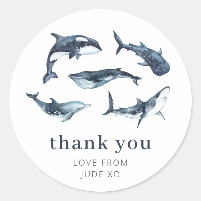 Havsdjur Runt Klistermärke (Framsida)