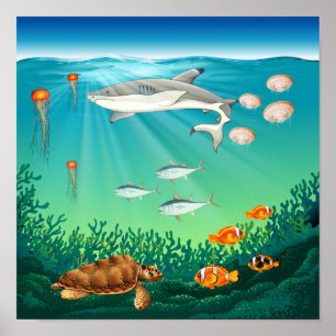Havsdjur som simmar under havet poster