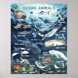 Havsdjur | Utbildning Lärande Klassrum Poster