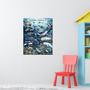 Havsdjur   Utbildningsklassrum Poster