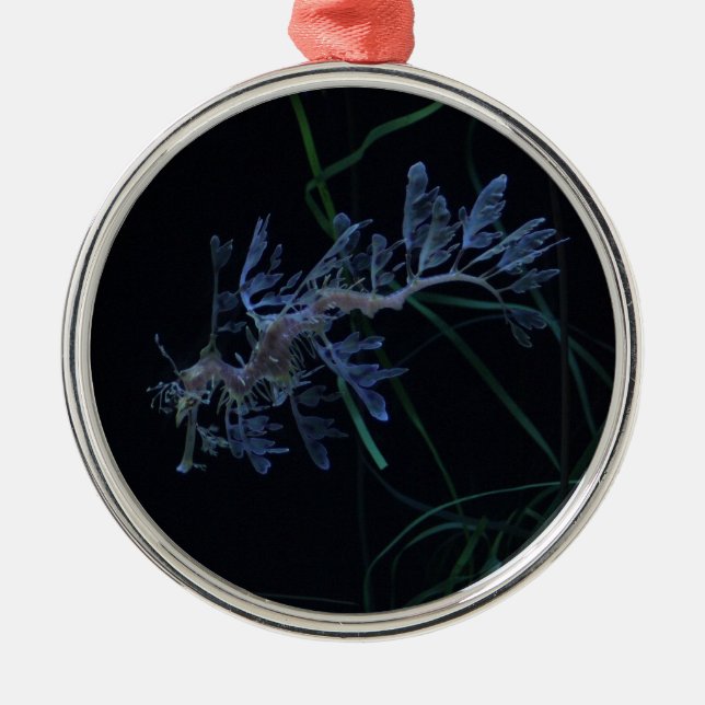 Havsdrake Julgransprydnad Metall (Framsidan)