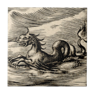 Havsdrake på ekvatorn kakelplatta