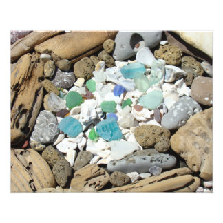 Havsdreven trä Sea Glass Snigelskal Fossil konst Fototryck