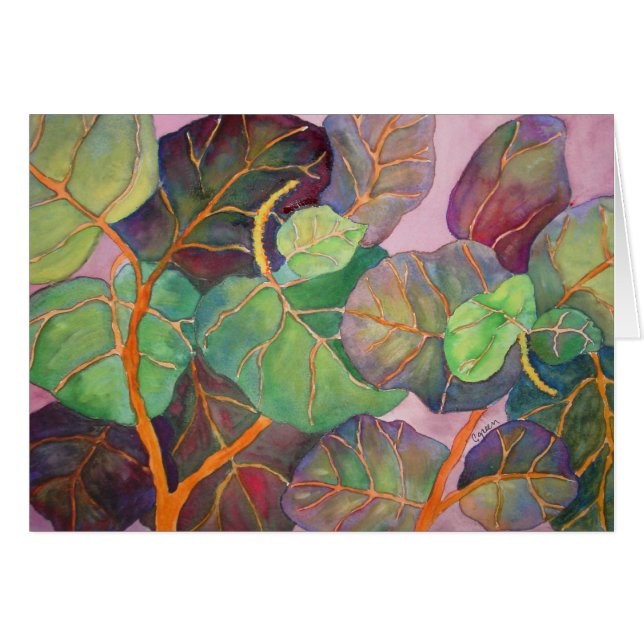 Havsdruvor OBS Kort (Framsidan Horizontal)