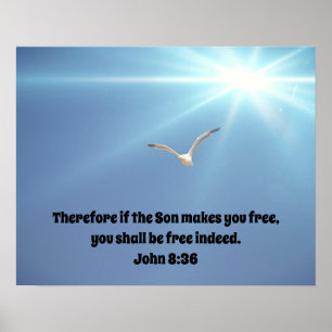 Havsfåglar som flyger gratis i Sol Bible Scripture Poster