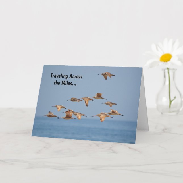 Havsfåglar som flyger Nice Pun Birthday Card Kort (Liten växt)