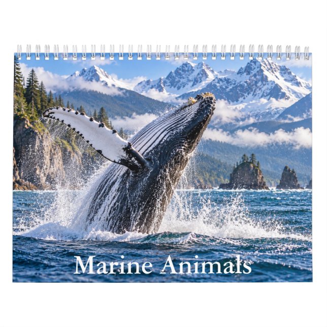 Havsfauna Scenisk Kalender (Omslag)