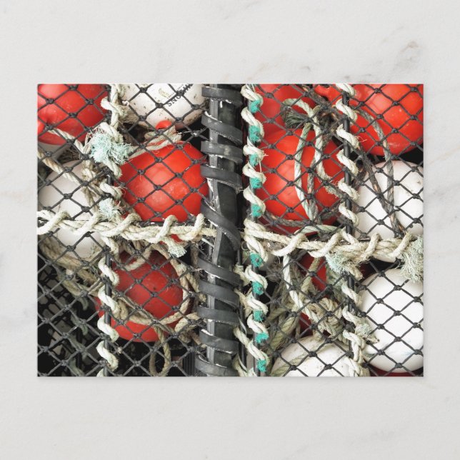 HavsFiske Vykort (Framsida)