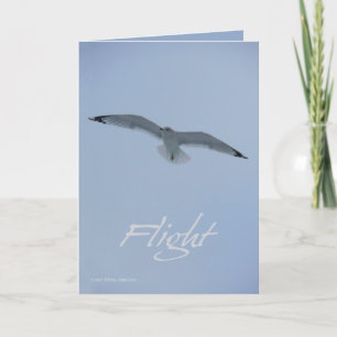 Havsfiskmåsflyg Kort