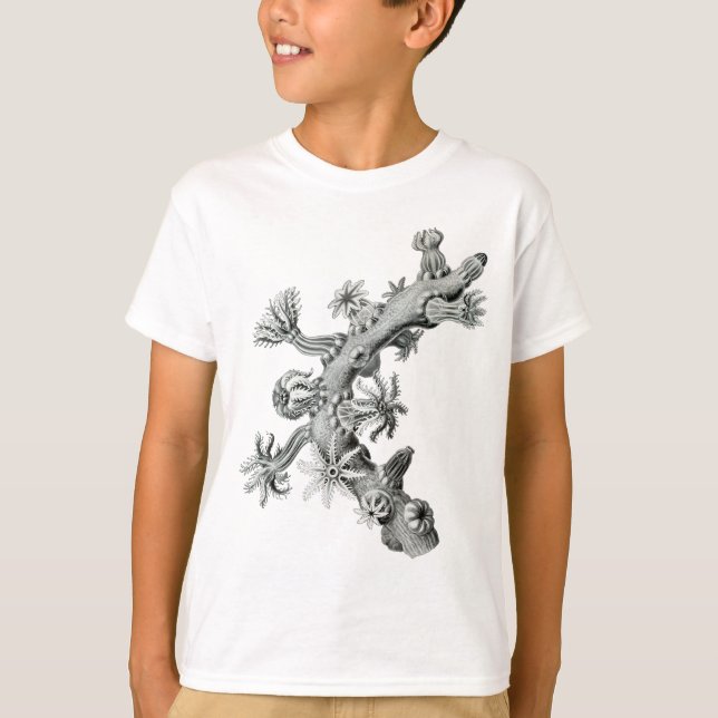 Havsfläkt T-shirt (Framsida)