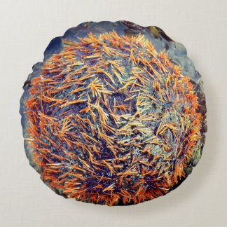 Havsgatubarn Rund Kudde