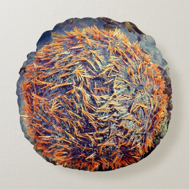 Havsgatubarn Rund Kudde (Framsidan)