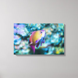 Havsgoldie Canvastryck