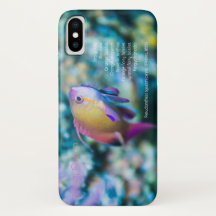 Havsgoldie, färglös söt fisk