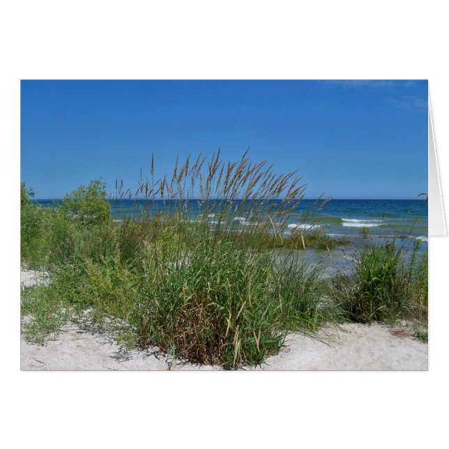Havsgräs längs seashoren hälsningskort (Framsidan Horizontal)