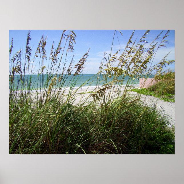 Havsgräs Poster (Framsidan)
