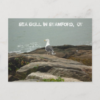 HAVSGULL I STAMFORD, CT, $B.A.K.$ ... VYKORT