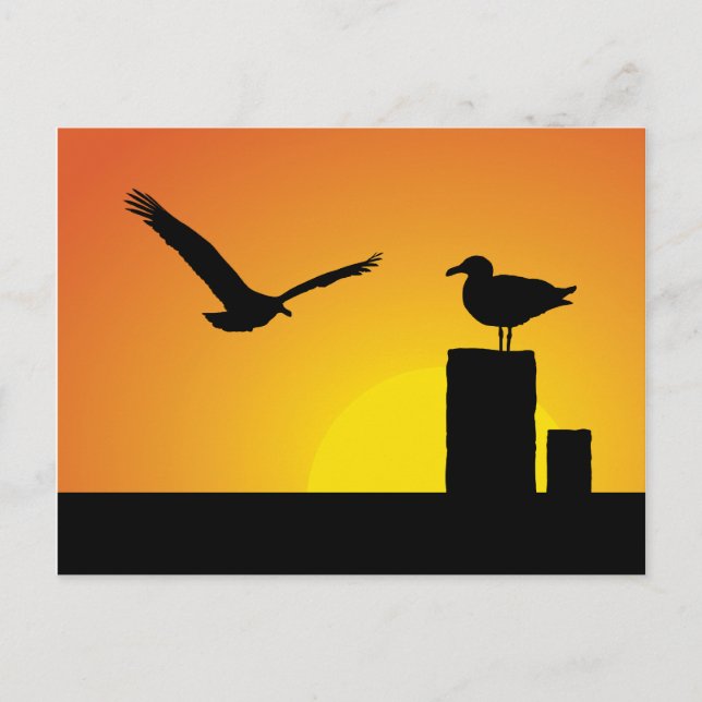 Havsgulls vid solnedgång vykort (Framsida)
