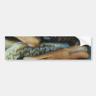Havsgurka ... Yaowarat Market Food Bildekal