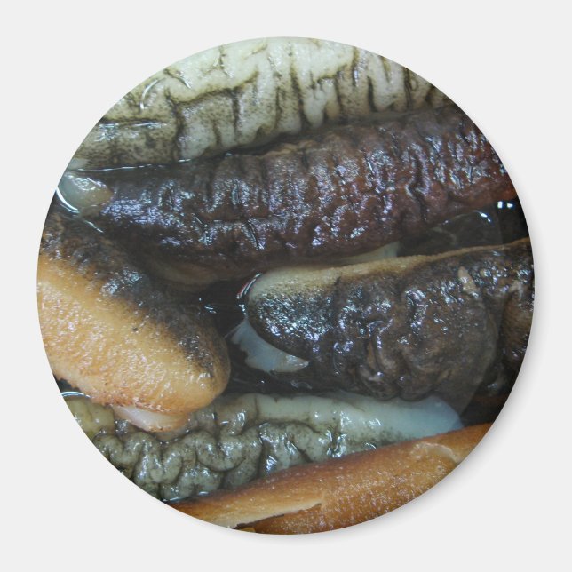 Havsgurka ... Yaowarat Market Food Magnet (Framsidan)