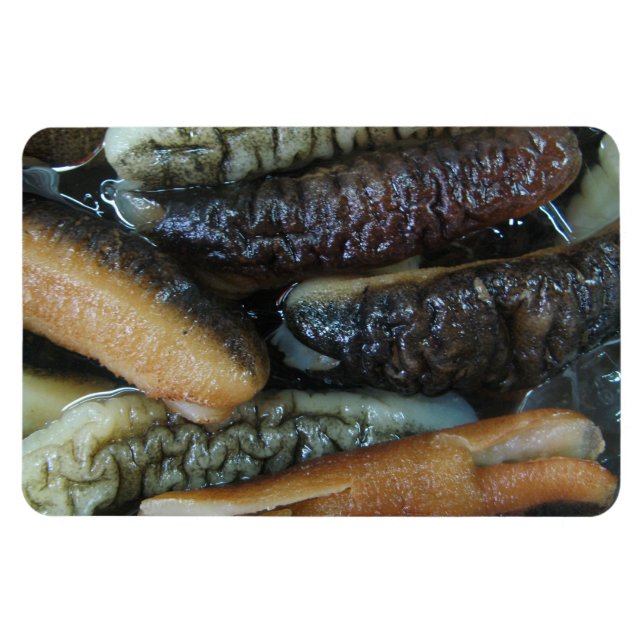 Havsgurka ... Yaowarat Market Food Magnet (Horisontell)