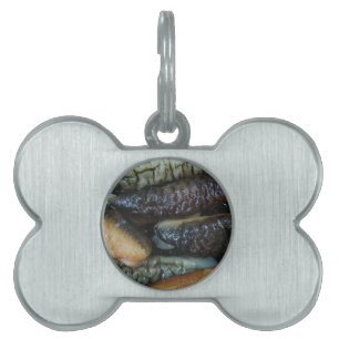 Havsgurka ... Yaowarat Market Food Namnbricka Husdjur