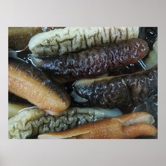 Havsgurka ... Yaowarat Market Food Poster (Framsidan)