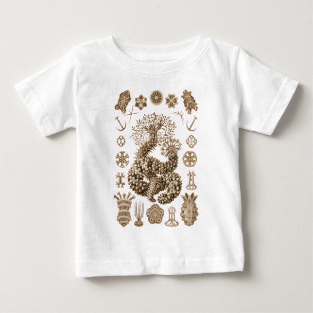 Havsgurkor Tee Shirt (Framsida)