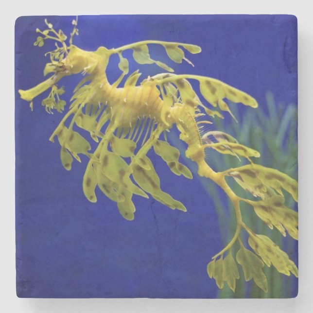 Havshäst Underlägg Sten (Framsidan)