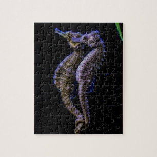 Havshästar (Seahorses) Pussel