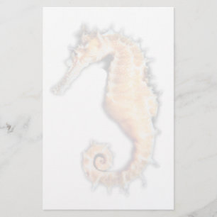 Havshästbrevpapper Brevpapper