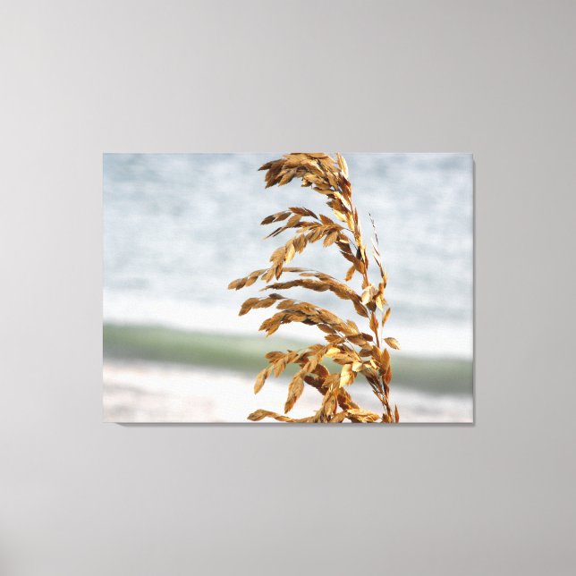 Havshavre, havsbris canvastryck (Framsida)