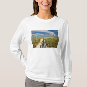 Havshavre Uniola paniculata) växer vid strand, T Shirt