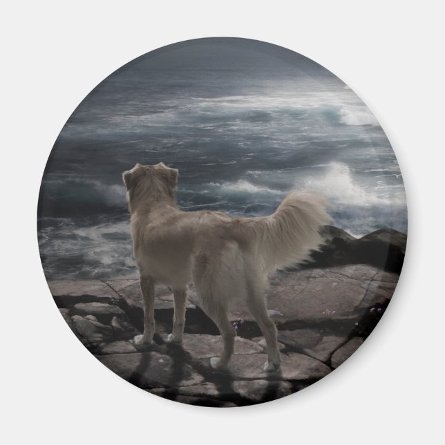 HavsHund Magnet (Framsidan)