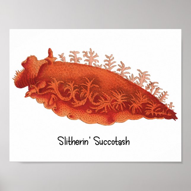 Havsigsillaffisch Slinkrande Succotash Poster (Framsidan)