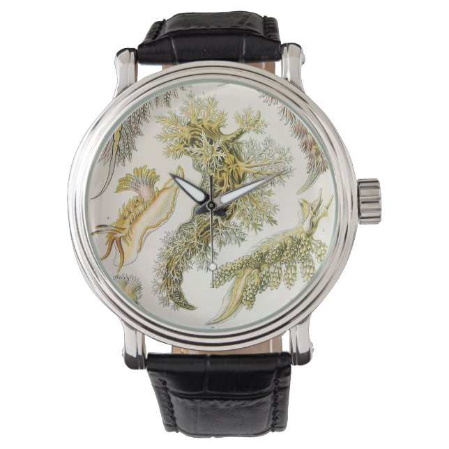 Havsigsnegar av Ernst Haeckel, Vintage Nudibranchi Armbandsur (Framsida)